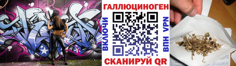 закладка  Ворсма  Псилоцибиновые грибы мицелий 